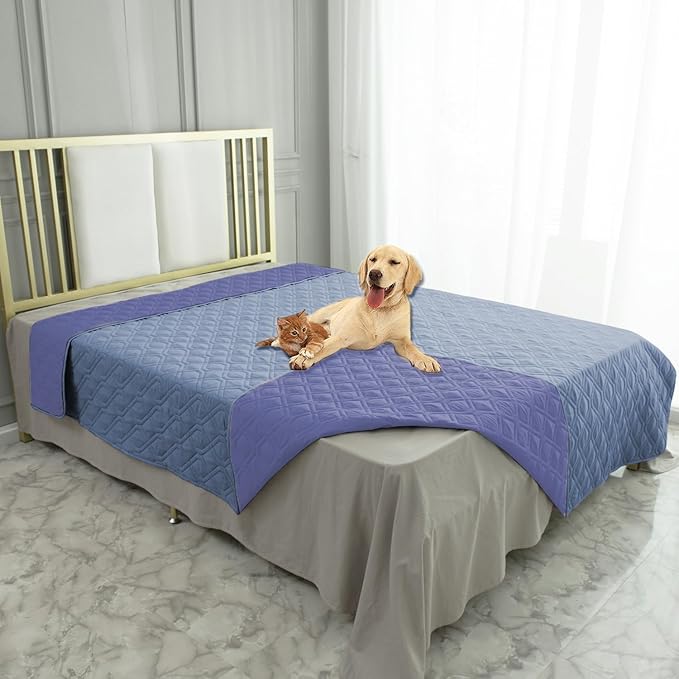 Beds & Furniture