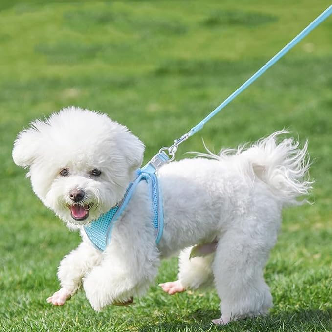 AIITLE Comfortable Dog Harness and Leash Set - Image 7