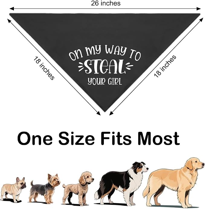 On My Way to Steal Your Girl Black Dog Bandana, Funny Pet Scarf Accessories - Image 2