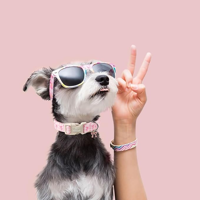 Girl Dog Collar for Large Dogs - Image 6