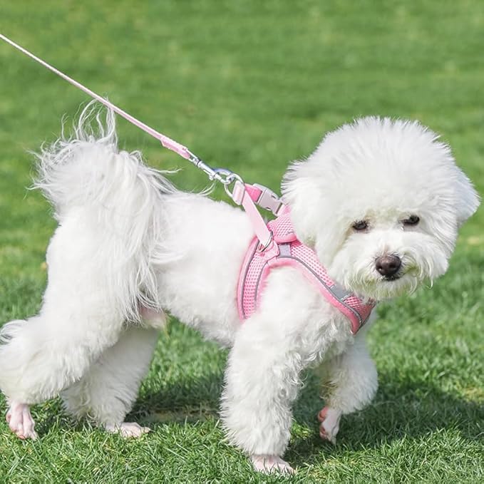 AIITLE No Pull Dog Harness and Leash Set, Step in Adjustable Dog Harness - Image 5