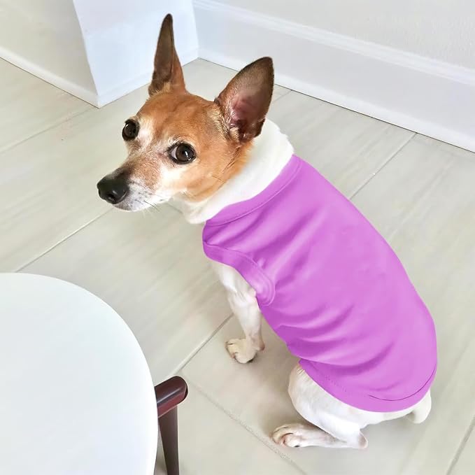 Custom Dog Shirt Pet T Shirts for Small Medium Large Dogs Customized Clothes - Image 5