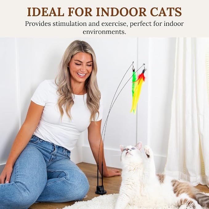 Cat Wand Toy Cat Fishing Pole Toy Cats Feather Toys Suction Cup - Image 6