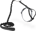 PetSafe Come With Me Kitty Cat Harness & Bungee Leash by PetSafe
