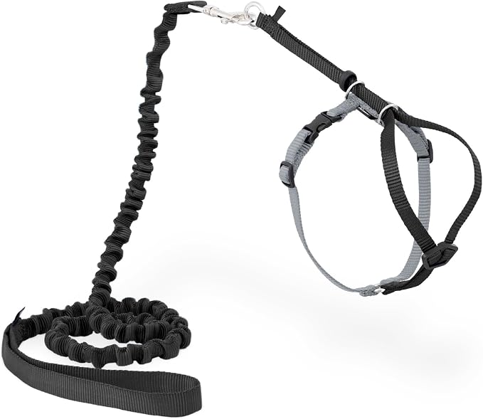 PetSafe Come With Me Kitty Cat Harness & Bungee Leash by PetSafe