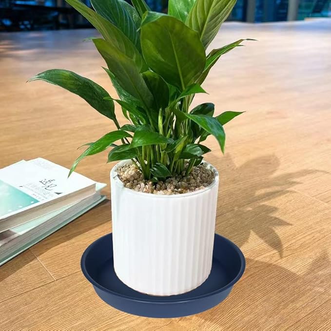 2 Pack of 8 inch Plant Saucer Clear, Heavy Duty Plastic Plant Water Tray 8 inch - Image 4