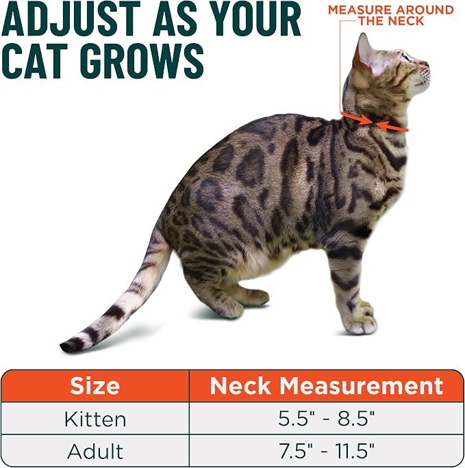 OutdoorBengal Durable Cat Collar Breakaway - Image 5