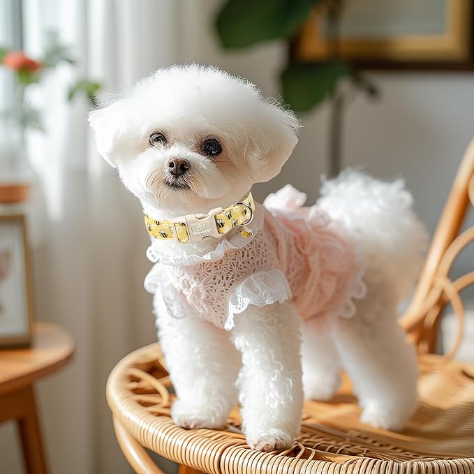 Bee & Daisy Dog Collar for Small Dogs - Image 5