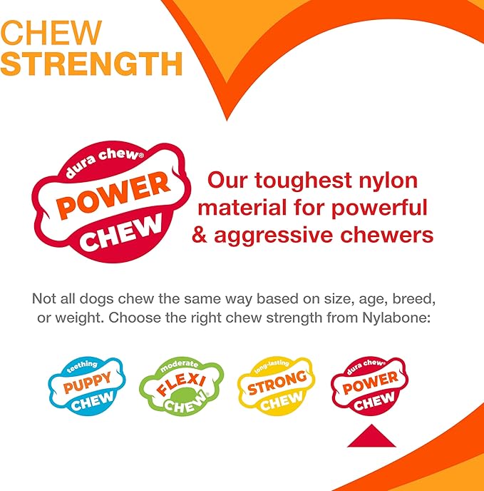 Nylabone Broccoli Power Chew Toy - Image 5