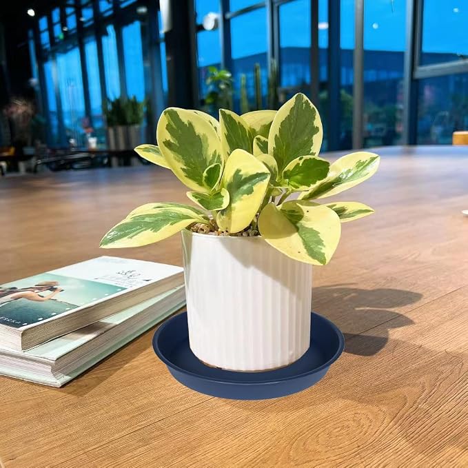 2 Pack of 16 17 inch Plant Saucer, 2.3" Depth, Plant Trays - Image 7