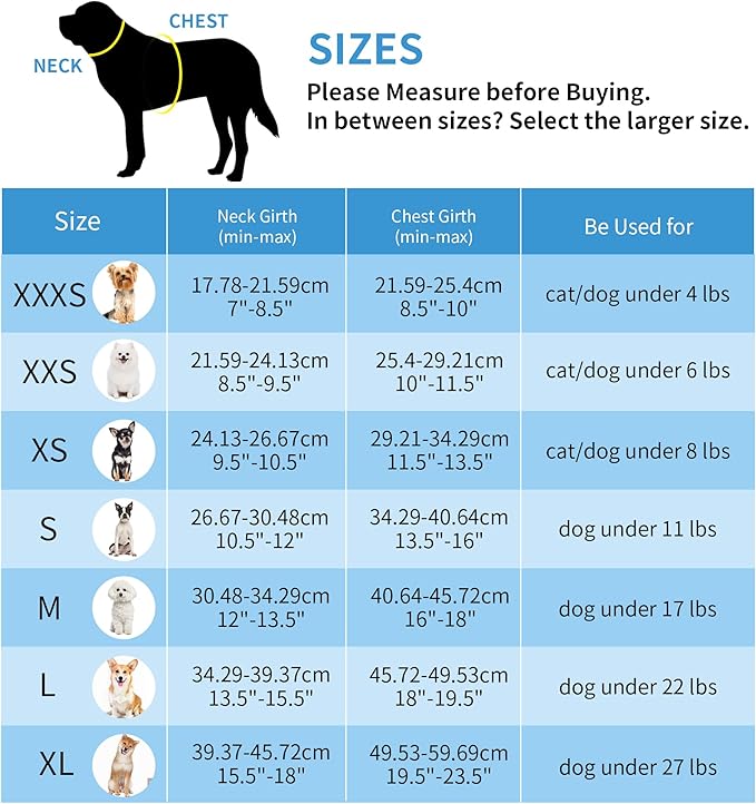 AIITLE No Pull Dog Harness and Leash Set, Step in Adjustable Dog Harness - Image 10