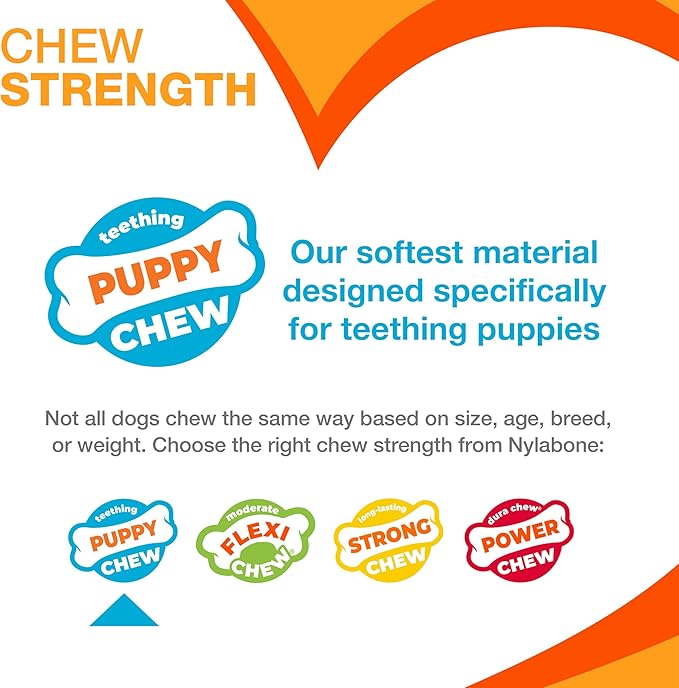 Nylabone Puppy Chew Toys & Natural Treat Triple Pack, Puppy Enrichment Teething - Image 6