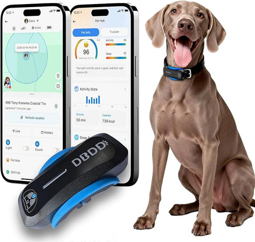 AI GPS Tracker for Dogs, Real Time Location and AI Vet Health Management by DBDD