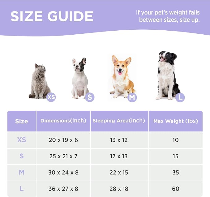 LE SURE Cute Dog Bed for Small Dogs & Cats- Washable Puppy Beds, Cozy Rectangle - Image 7