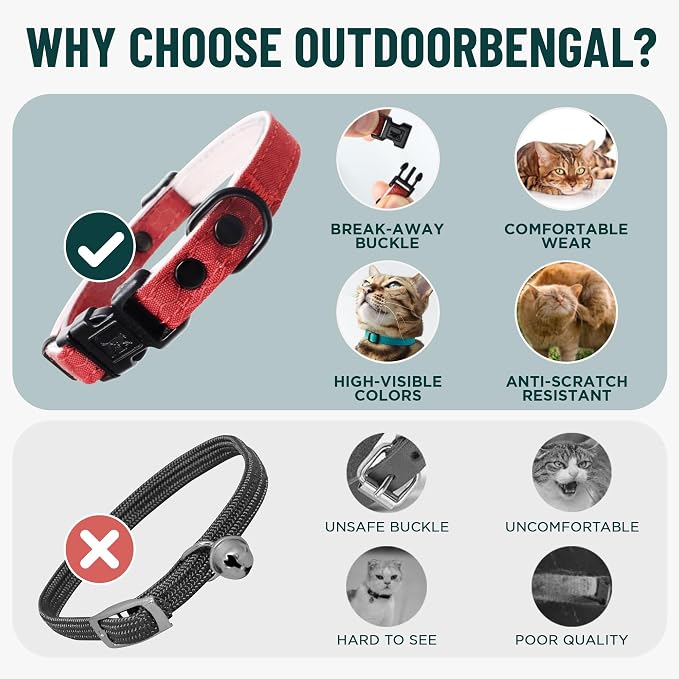 OutdoorBengal Red Breakaway Kitten Collar - Image 3