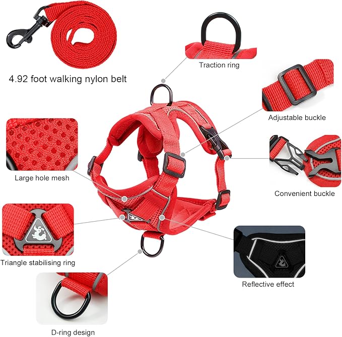 Large Cat Harness and Leash Set - Image 2