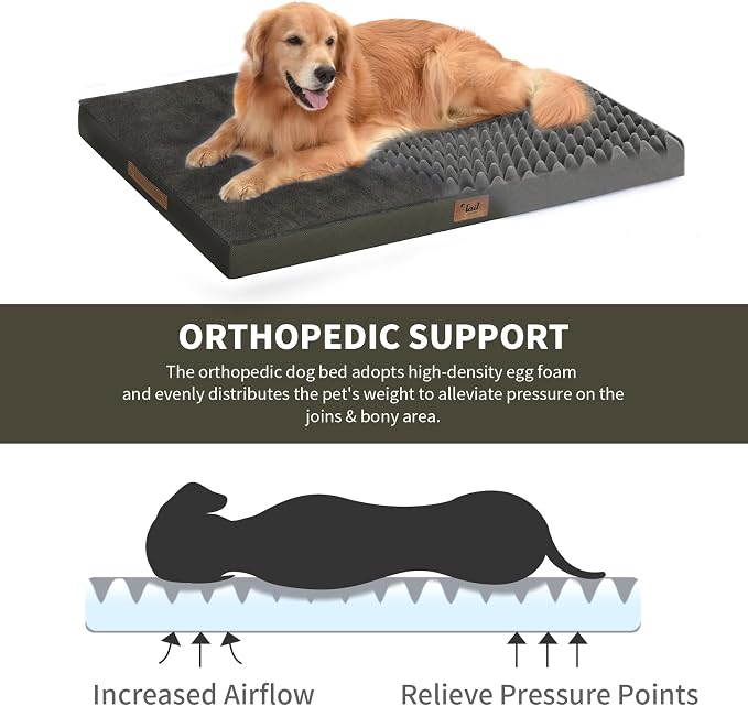 Flat Extra Large Dog Bed, Jumbo Waterproof Dog Bed - Image 4