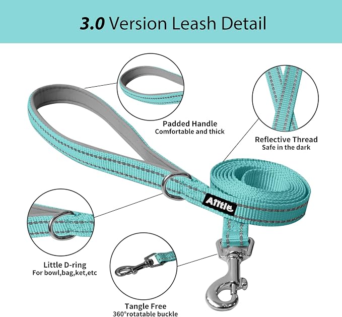 AIITLE Step in Dog Harness and Leash Set - Image 6