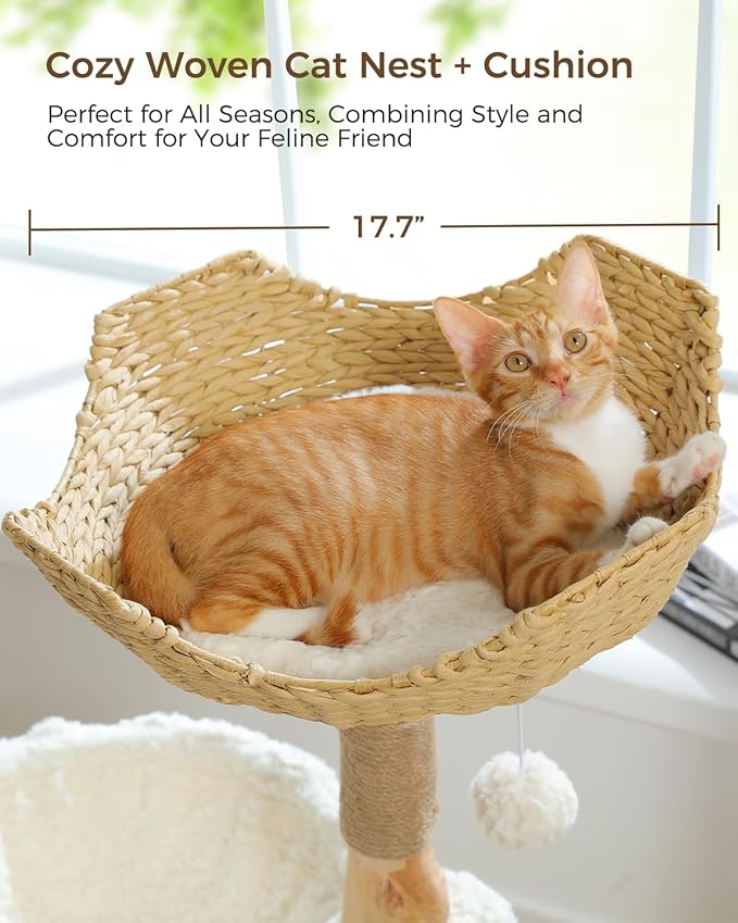 Modern Cat Tree for Large Cats, Wood Cat Tower for Indoor Cats, Real Branch - Image 5