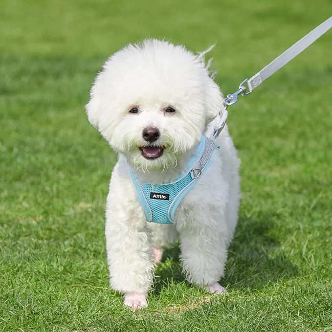 AIITLE Easy Walk Dog Harness and Leash Set - Image 2