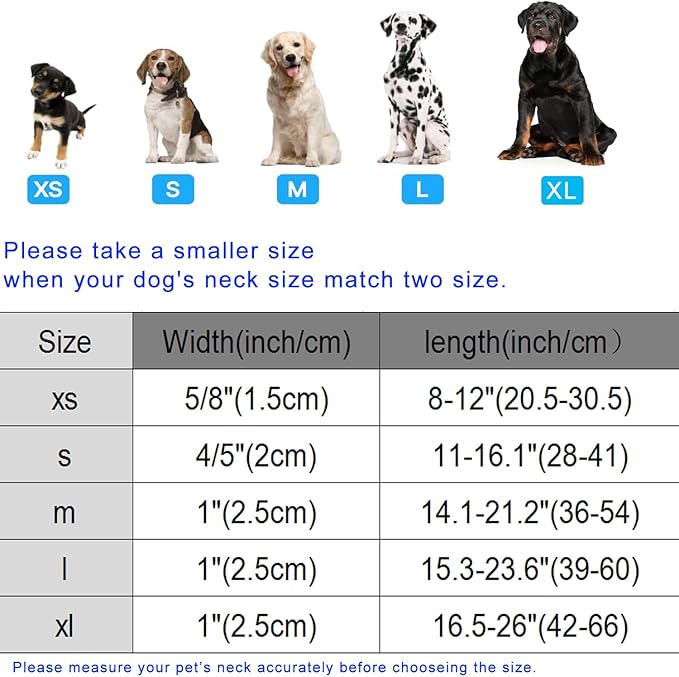 DOGWONG Easter Dog Collar, Cute Easter Egg Pet Collar Durable Holiday Girl Boy - Image 6