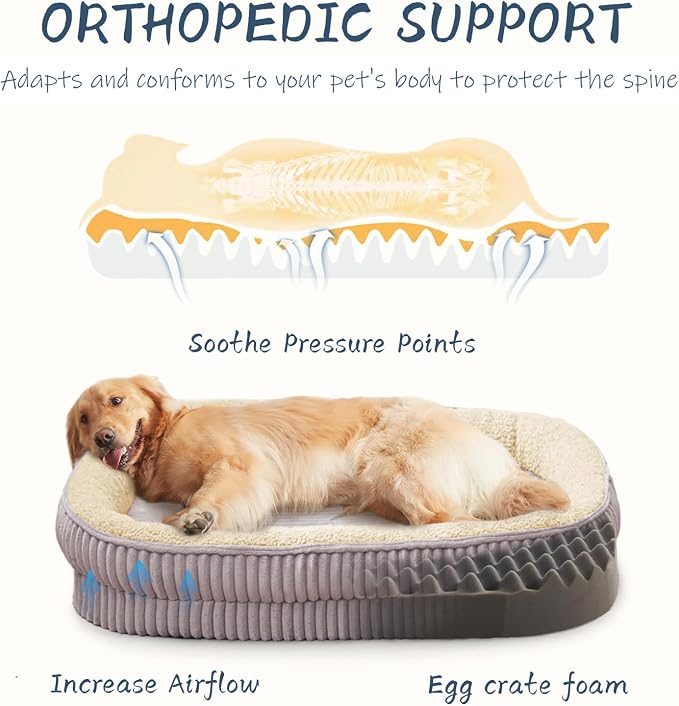 Orthopedic Dog Bed for Medium, Large Dogs Breeds, High Density Egg Crate Foam - Image 2