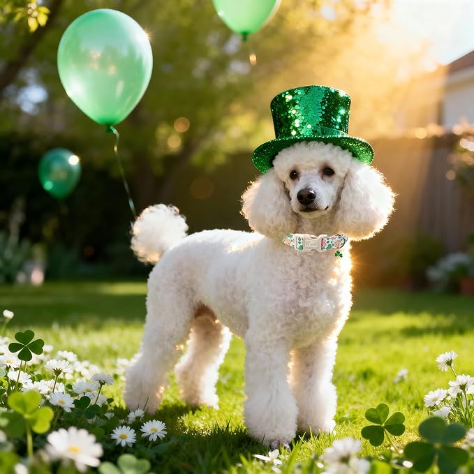 St Patricks Day Dog Collar for Puppy Small Dogs - Image 2
