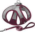 AIITLE Comfortable Dog Harness and Leash Set by AIITLE-FORPETSBETTERLIFE