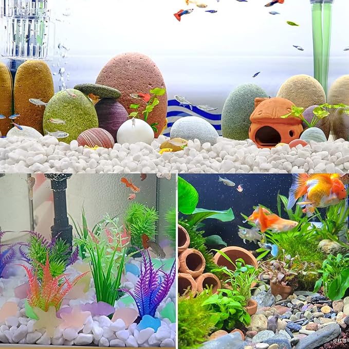 5LB Succulent and Cactus Gravel Pebbles, 1/5 Inch Natural Decorative Polished - Image 6