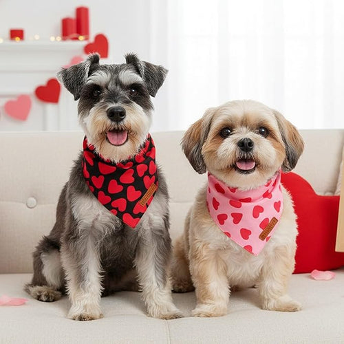 ADOGGYGO Valentine Dog Bandana 2 Pack, Reversible Red Pink Heart Puppy Scarf Bib - Image 2