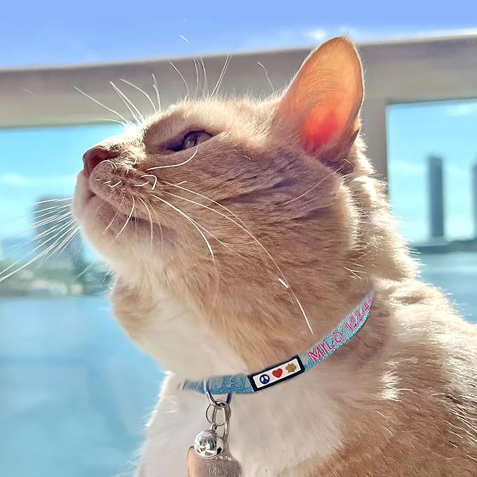 Pawtitas Personalized Teal Reflective Cat Collar – Adjustable Custom Collar - Image 3