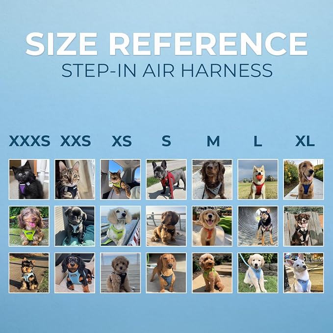 Best Pet Supplies - Image 5