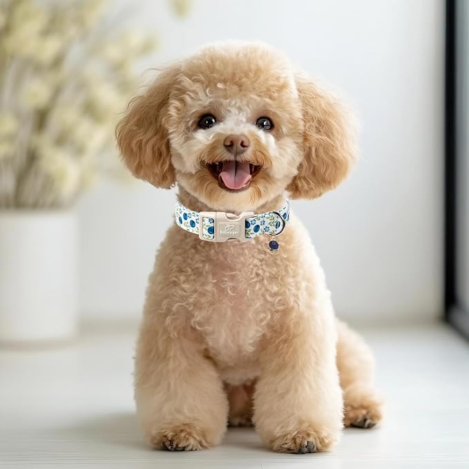 Spring/Summer Dog Collar for Large Dogs - Image 2
