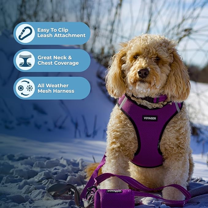 Best Pet Supplies Voyager Step-in Air All Weather Mesh Harness and Reflective - Image 5