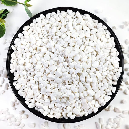 10LB Succulent and Cactus Gravel, 1/5 Inch White Natural Decorative Polished by YISZM-ForYourNaturalLife