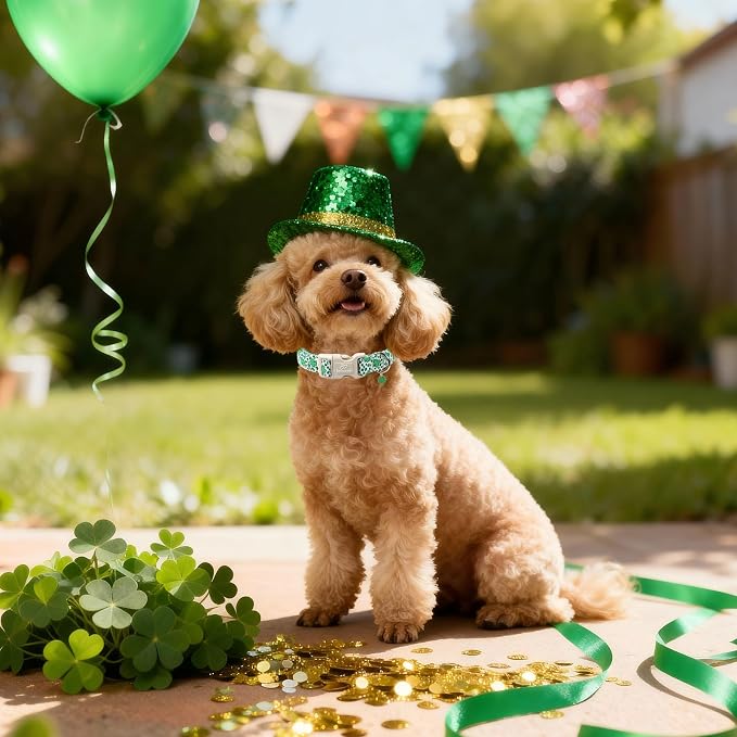 St Patricks Day Dog Collar for Medium Dogs - Image 2