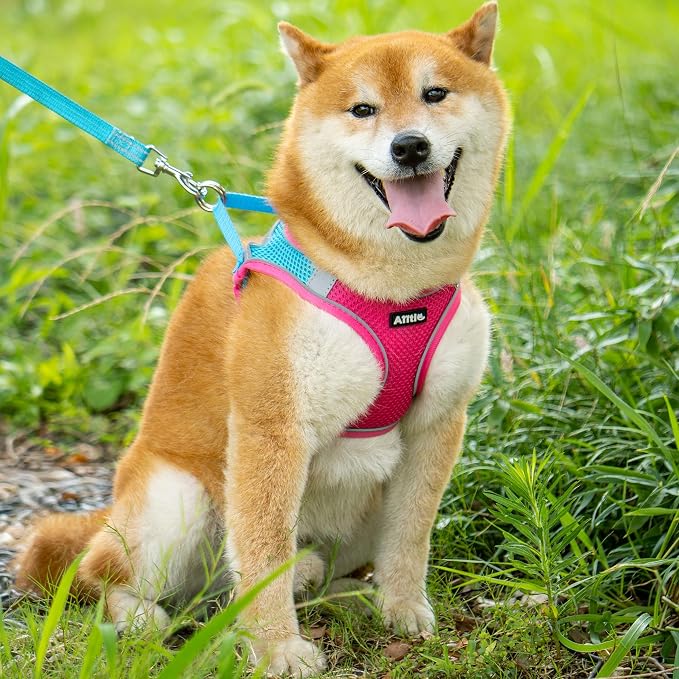 AIITLE Escape Proof Dog Harness - Image 4