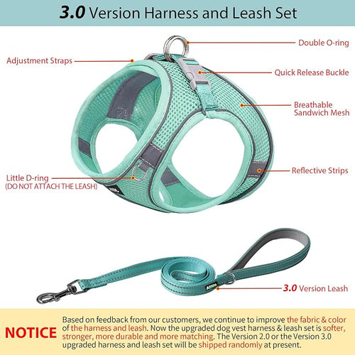 AIITLE Small Harness for Puppy - Image 2