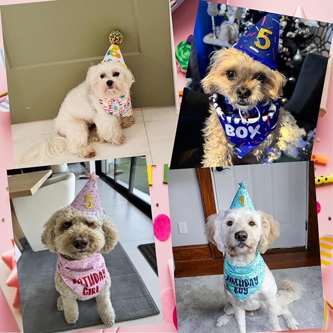 Dog Birthday Bandana Set, HBD Party Supplies - Image 6