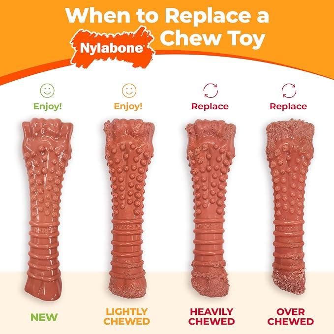 Nylabone Original Bone Power Chew Toy - Image 11