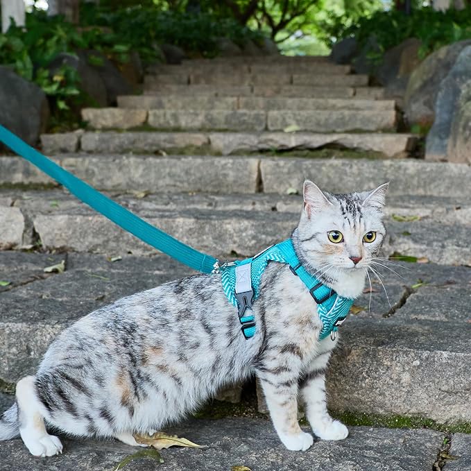 Cat Harness and Leash Escape Proof Extra Large Kitten Harness Maine Coon Cat - Image 8