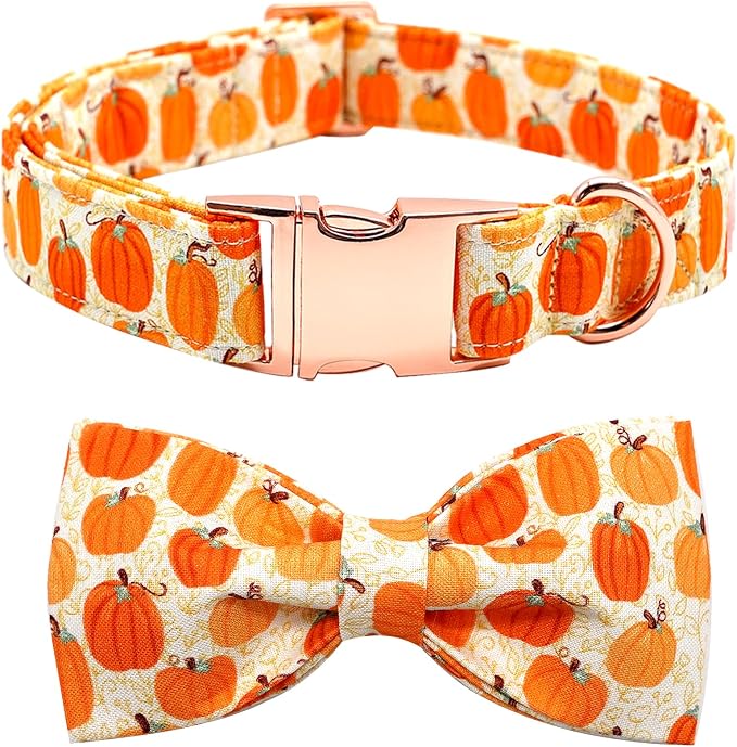 Dog Collars - Halloween Pumpkin Bowtie Dog Collar Gift Soft Bow Collar Pet by BoboRainbow