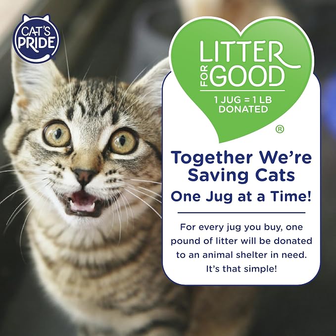 Cat's Pride Max Power: Total Odor Control - Image 7