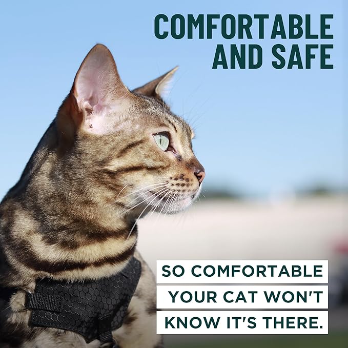 Houdini™ Escape Proof Kitten Harness and Leash Set by OutdoorBengal – Red - Image 4