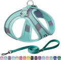 AIITLE Step in Dog Harness and Leash Set by AIITLE-FORPETSBETTERLIFE