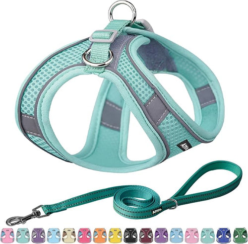 AIITLE Step in Dog Harness and Leash Set by AIITLE-FORPETSBETTERLIFE