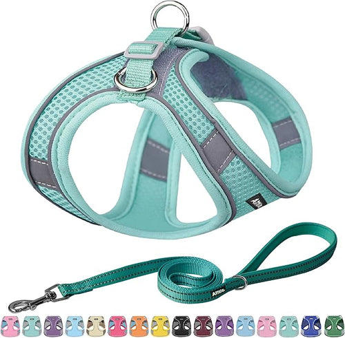 AIITLE No Pull Dog Harness and Leash Set, Step in Adjustable Dog Harness by AIITLE-FORPETSBETTERLIFE