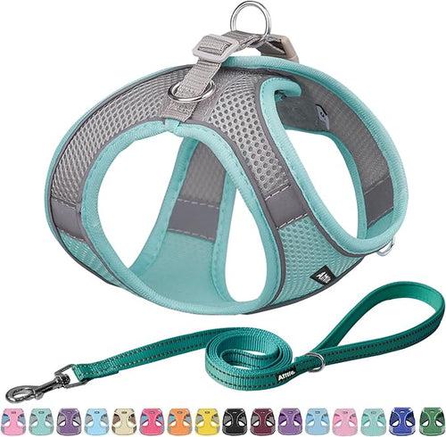 AIITLE Small Harness for Puppy by AIITLE-FORPETSBETTERLIFE