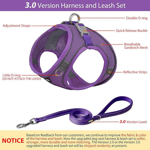AIITLE Comfortable Dog Harness and Leash Set - Image 2