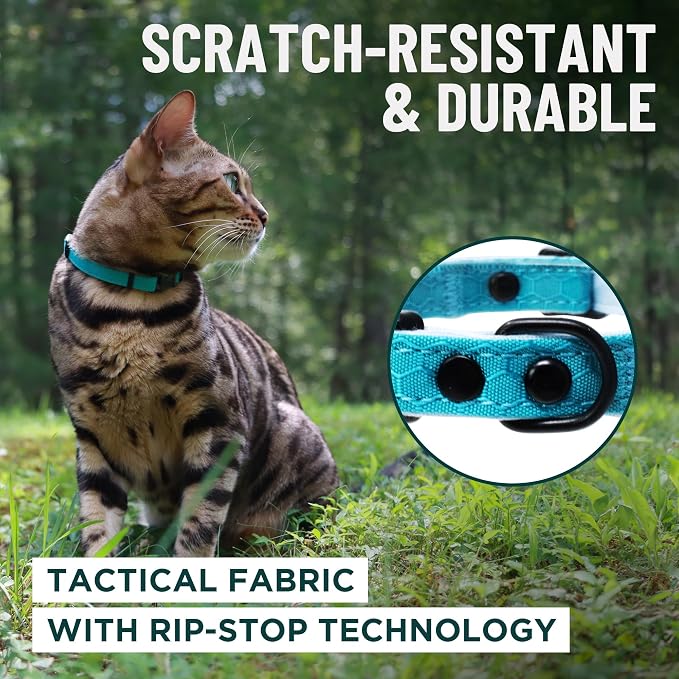 OutdoorBengal Red Breakaway Kitten Collar - Image 4